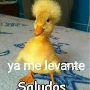 Hola
