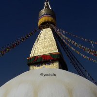 Yestrails (@yestrails) 's Twitter Profile