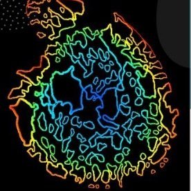 cellsmb's profile picture. Cell Systems and Mechanobiology Lab, University of Melbourne