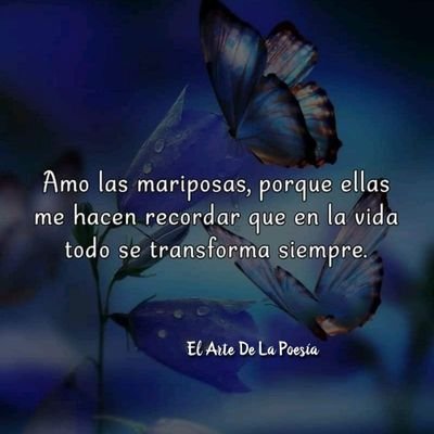 TavaresXilonen's profile picture. 