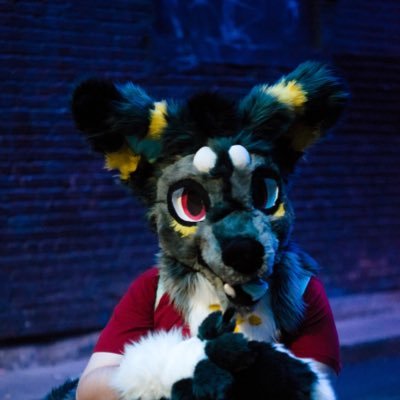 Am woof. Am gay and heavy Ace. Am content creator. I am not much else .w. Snackies plz? Current pfp by Spunky_hØrn