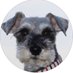 alice-in-wonderland (@SchnauzerAlice) Twitter profile photo