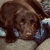 JOHN PIEPER (@piep027001) Twitter profile photo JOHN PIEPER (@piep027001) Twitter profile photo