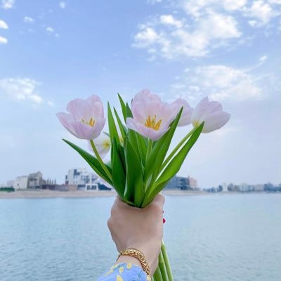 خريجة عربية | أكتب وأقتبس | علامتا التنصيص للمقتبس، وما دون ذلك فهو لي | ما بين الرقة والرهف🤍.