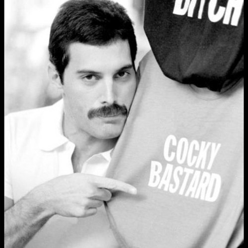 FreddieMercuryx's profile picture. I'm just a musical prostitute, my dear!