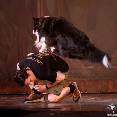 ricsiez05a's profile picture. #bitcoin
#xrp
#sol
#Lego
#Photography