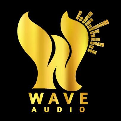 Wave Audio funded by one of the Punjab,s leading music Producer -Jagraj waraich .Wave Audio is Punjab largest punjabi content making group.