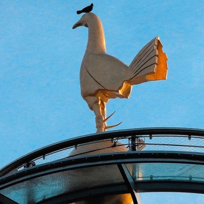 Je rêve d’ètre Basketeur