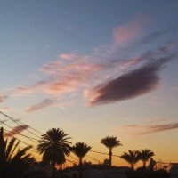 iris pissaride (@iris_pissaride) 's Twitter Profile