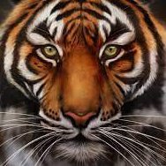 NdunguNirvana's profile picture. 