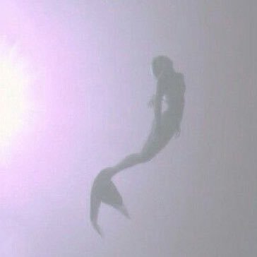 almxaha's profile picture. 