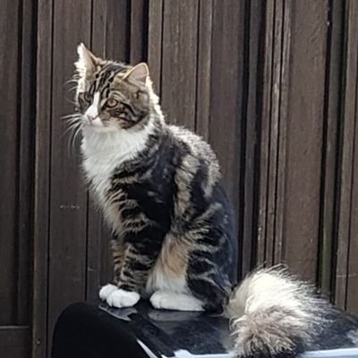 Elles1973's profile picture. 