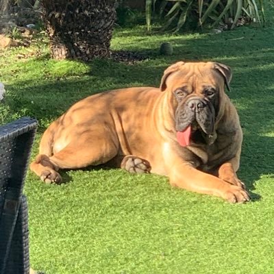 SigristVincent's profile picture. 