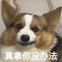 ewrt(💙,🧡).bnb (@ewrt11525805) 's Twitter Profile