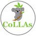 CoLLAs 2025 (@collas_conf) Twitter profile photo CoLLAs 2025 (@collas_conf) Twitter profile photo