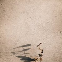 Sibel Neşeli 🛸))))(💙,🧡)❤️ Memecoin (@neseli_sibel) 's Twitter Profile