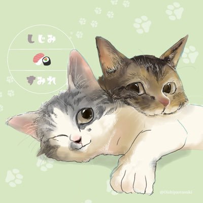 あや(Aya_co)🎧🍑&しーすー🍣 (@aya_co_withcats) / X あや(Aya_co)🎧🍑&しーすー🍣 (@aya_co_withcats) / X