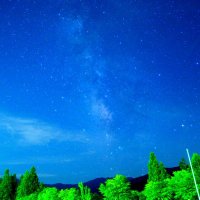 mamegon (@mamemamemamegon) Twitter profile photo