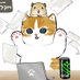 @cats8152
