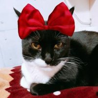 のりミニ (@5ywz3gdt1tsgv3e) 's Twitter Profile