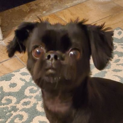 Mega_64's profile picture. Transwoman, computer programmer, winter camper.