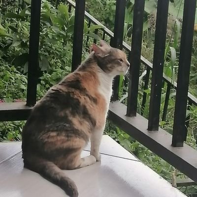 Enamorada de la vida, soñando con un mundo más igual.