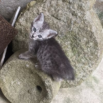 arepengga's profile picture. We see things differently.🐝🎈