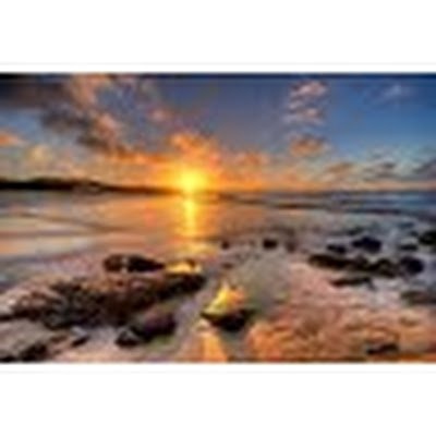 lbblaylock's profile picture. 