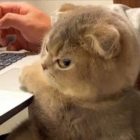 Esme📝 (@fairnotkind) 's Twitter Profile Photo Esme📝 (@fairnotkind) 's Twitter Profile Photo