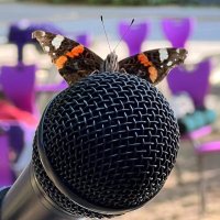 Ricards Music (@ricardsmusic) 's Twitter Profile Photo Ricards Music (@ricardsmusic) 's Twitter Profile Photo