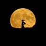 Ragnar__6's profile picture. 🎤