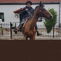 Reinhard Borowsky (@reinhardborows1) 's Twitter Profile