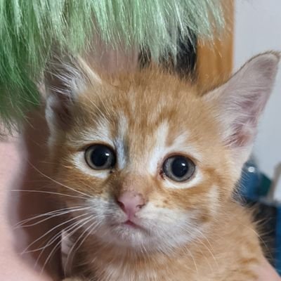 zeerow07's profile picture. ADHD, IT Professional, and Nerd. A deadly Trifecta of Chaos....