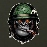 Murphy The Gorilla(@GorillaMurphy) 's Twitter Profile Photo