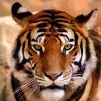 Iskander Sacarias (@iskandersacari1) 's Twitter Profile Photo Iskander Sacarias (@iskandersacari1) 's Twitter Profile Photo