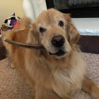 notaboomertoday's profile picture. 