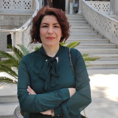 (prof. dr. at istanbul university,
TUBA Young Academy Member, Atatürk Research Centre Scientific Board Member)