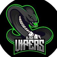 Black Vipers E-Sports #IgnisCup (@blackvipersbr) 's Twitter Profile