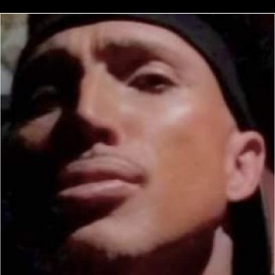 XerxisTooloose's profile picture. 