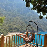 Pelin Woke (@angaradiren) 's Twitter Profile Photo