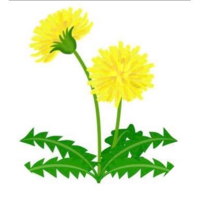 tanpopoyo's profile picture. 中国株 日本株