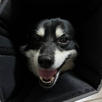 Bryan_F20's profile picture. 904➡️305🌴