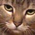 Sobriety (@ssnnack) Twitter profile photo Sobriety (@ssnnack) Twitter profile photo