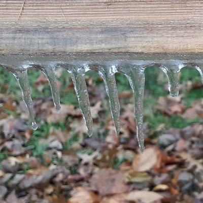 biscuits_groovy's profile picture. Mean old man, Liberal, shit disturber, and true believer in unions, except police unions.