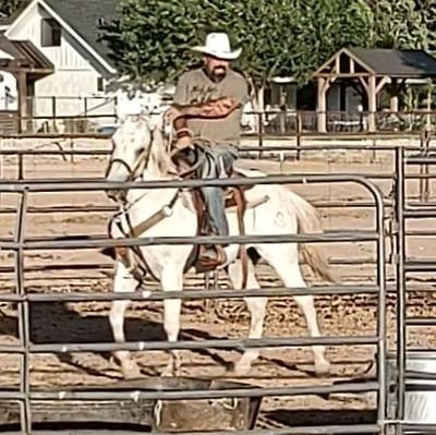 just a man making his way 
38 single 
cowboy tattoo artist
in Az . Texas raised