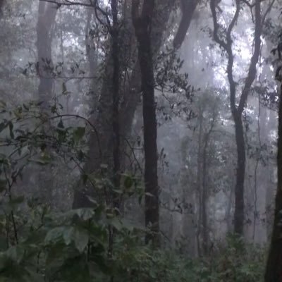 Pppb49300971's profile picture. 