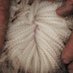 Ridgway Poll Merinos (@ridgwaymerinos) Twitter profile photo Ridgway Poll Merinos (@ridgwaymerinos) Twitter profile photo