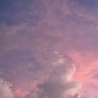 Shadid Worbis (@shadid) 's Twitter Profile
