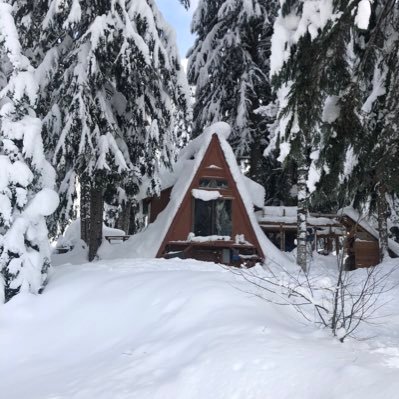 Living off-grid in the pacific northwest & loving it. I ski to my cabin in the woods in the winter 6 months each year. I live with my Malinois, Fidji. #GoUtes