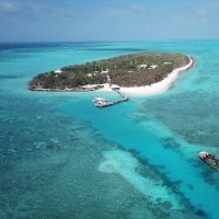 Heron Island Research Station(@HIRS_UQ) 's Twitter Profile Photo